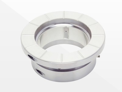 „Babbitt“ su krūmu